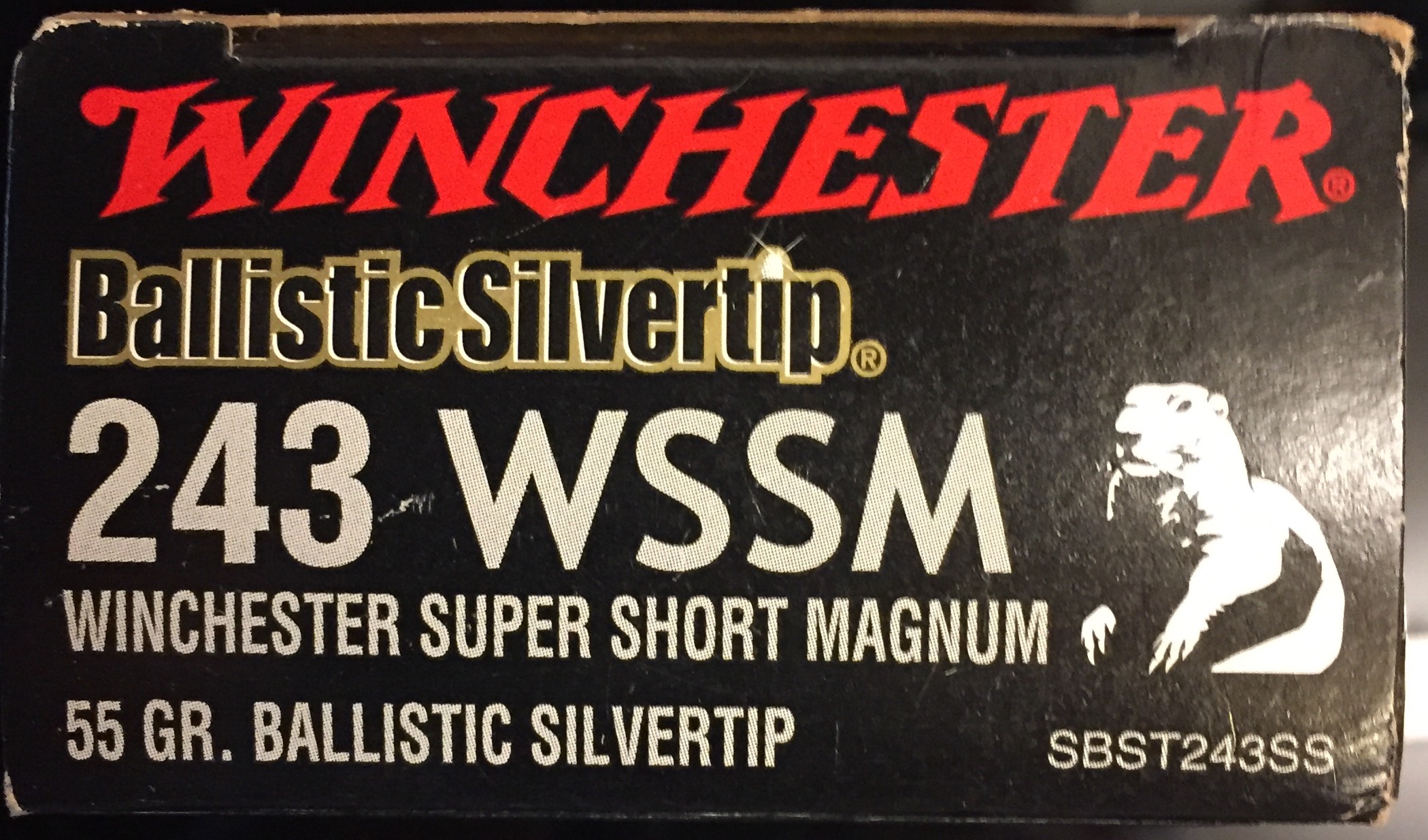 WIN243WSSM
